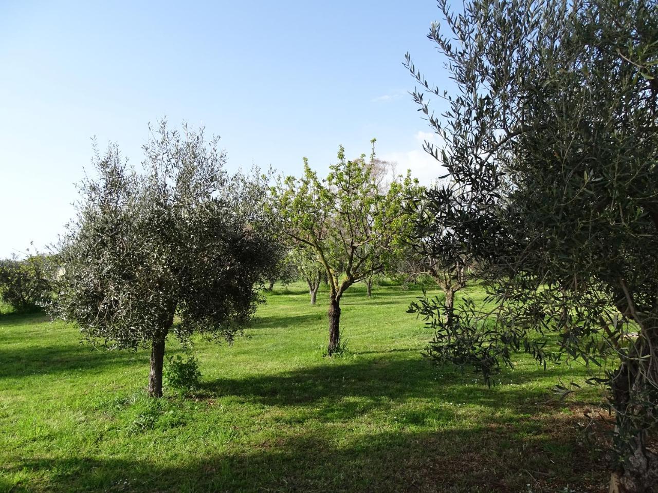Podere 1248 Ladispoli Exteriör bild